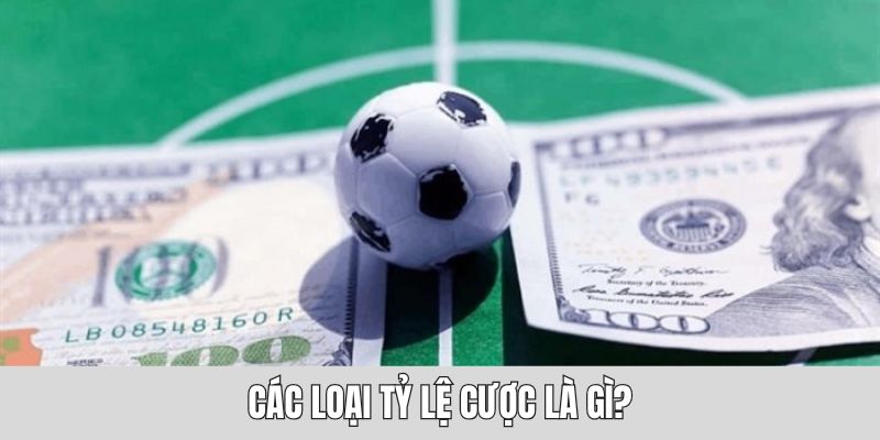 Tìm hiểu định nghĩa của tỷ lệ cược